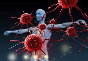 How Stress Weakens Your Immune System and What to Do About It